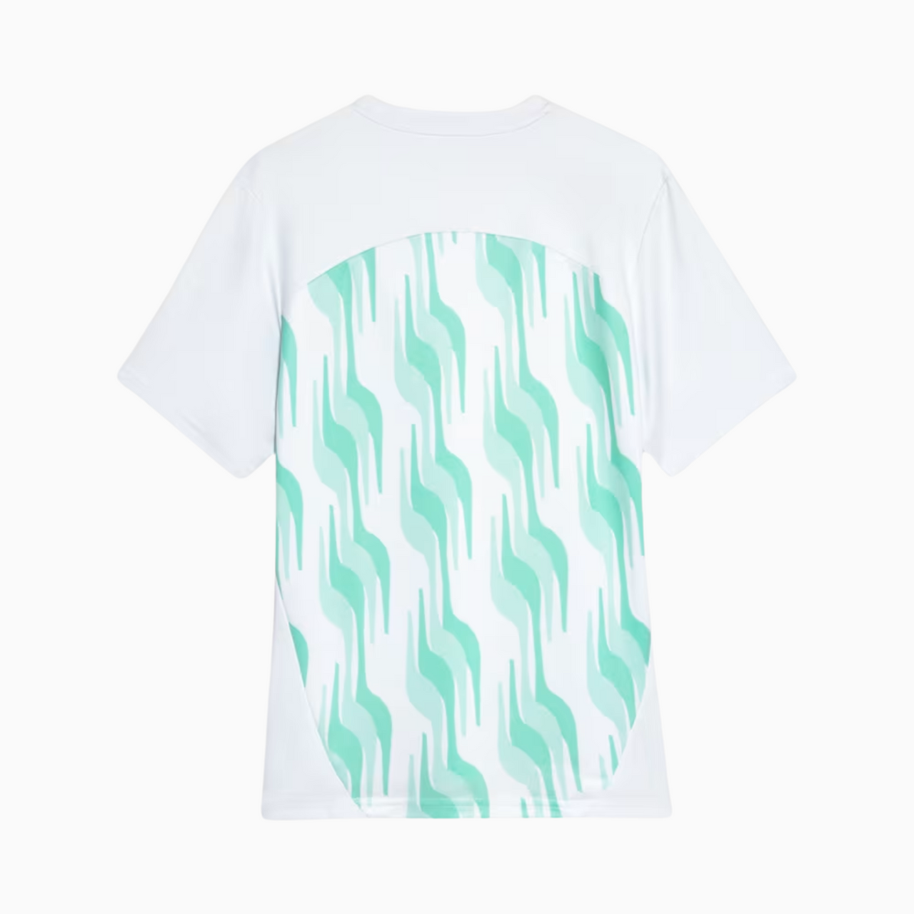 Camisa Palmeiras Pré-jogo 25/26 Torcedor