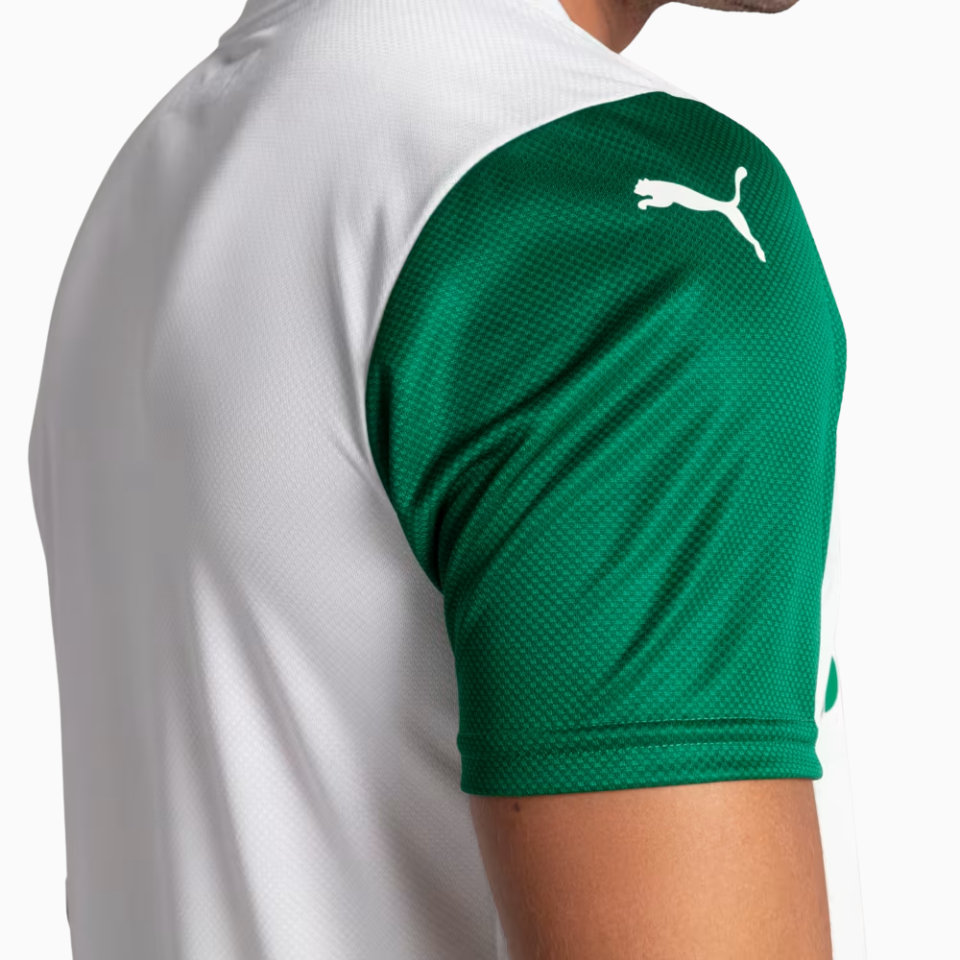 Camisa Palmeiras Puma away 25/26 - JOGADOR