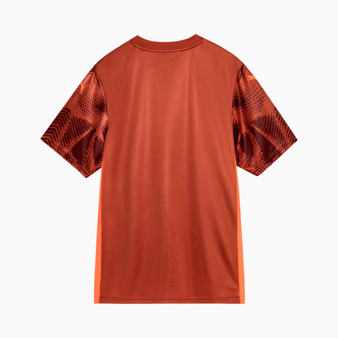 Camisa Palmeiras Goleiro 25/26 Puma II Torcedor