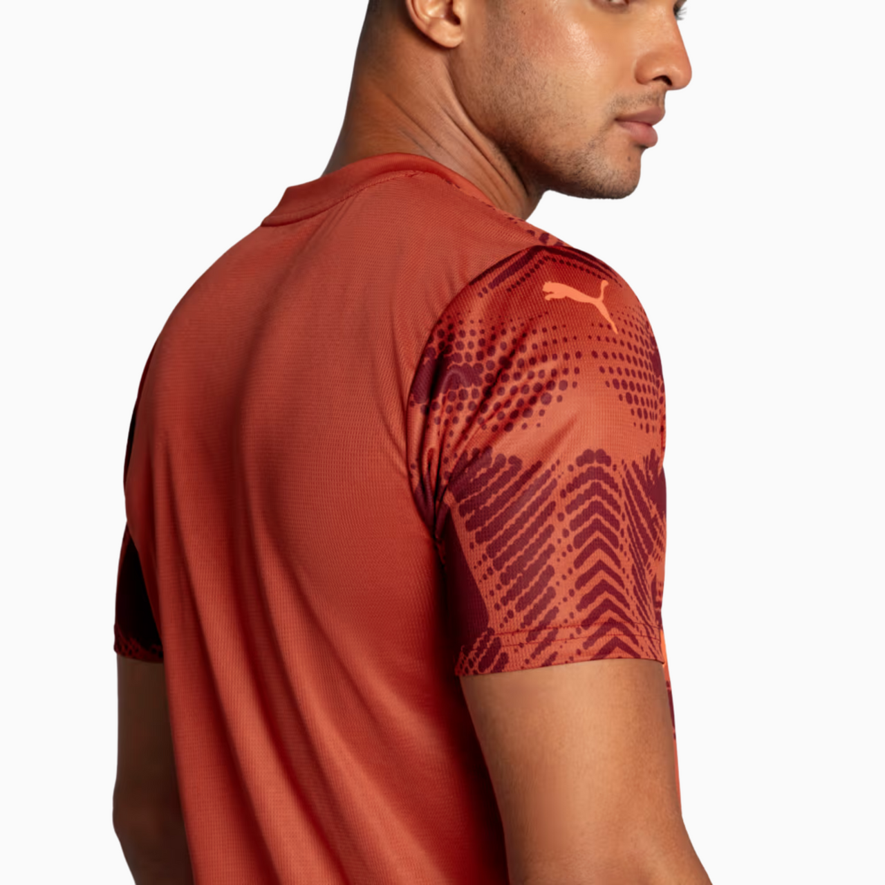 Camisa Palmeiras Goleiro 25/26 Puma II Torcedor