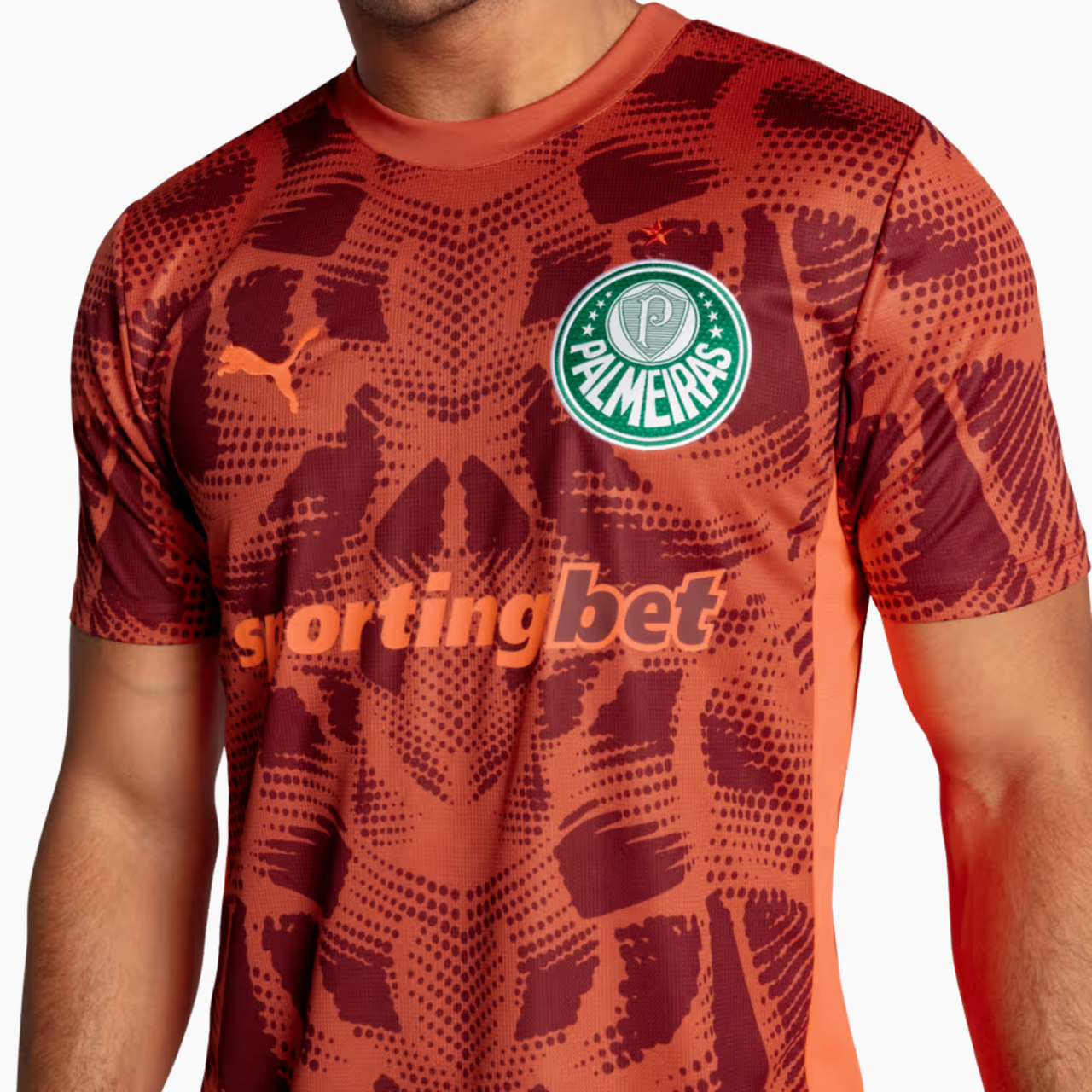 Camisa Palmeiras Goleiro 25/26 Puma II Torcedor