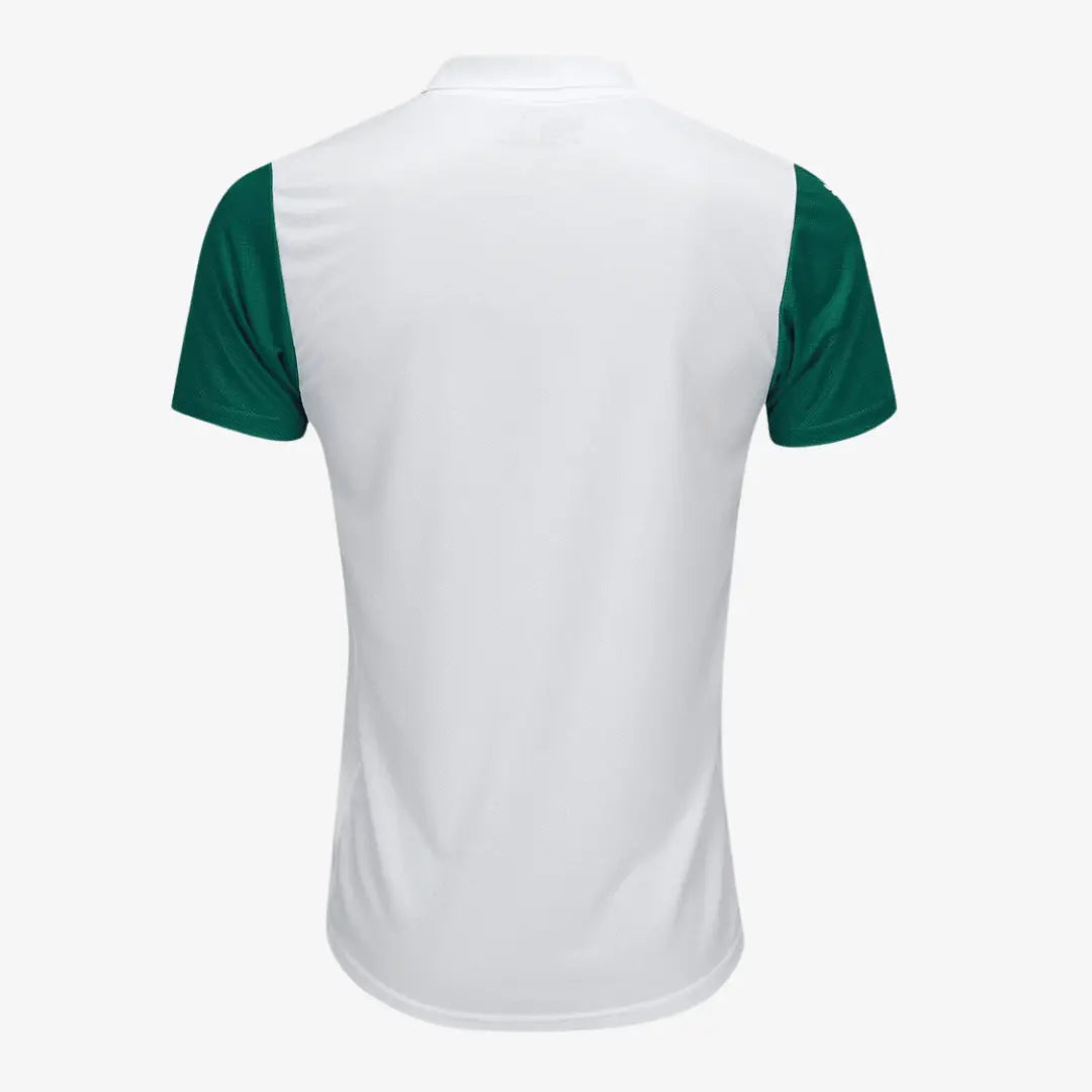 Camisa Palmeiras Puma away 25/26 - JOGADOR