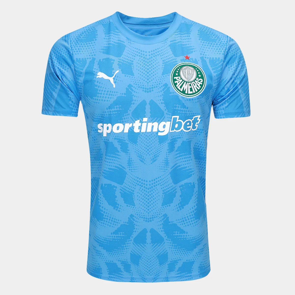 Camisa Palmeiras Goleiro 25/26 Torcedor Masculina - Azul