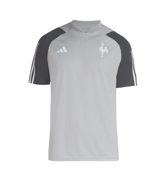 Camisa Atletico Mineiro 24/25 Treino Adidas Torcedor - Cinza
